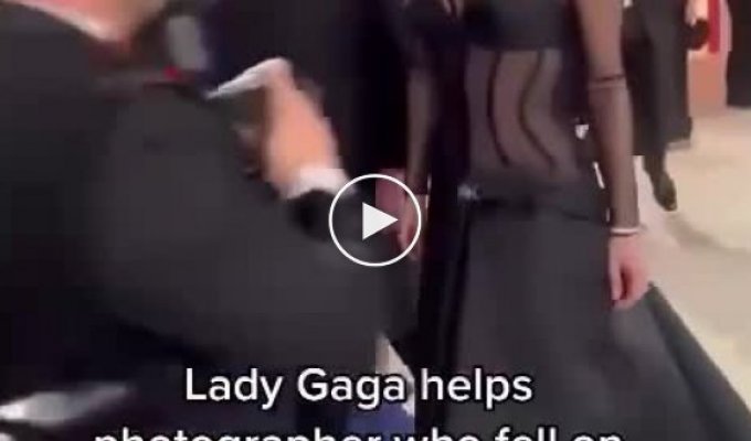 Самый обсуждаемый момент на Оскаре - 2023: Леди Гага помогла упавшему фотографу