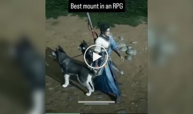 Забавный маунт в китайской компьютерной игре