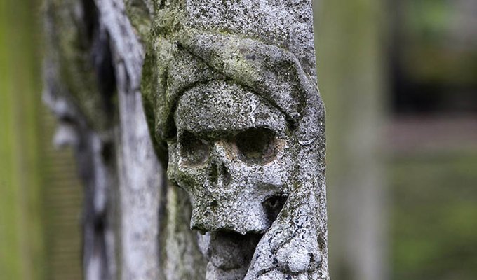 На необычном кладбище: Банхилл-Филдс в Лондоне (9 фото)