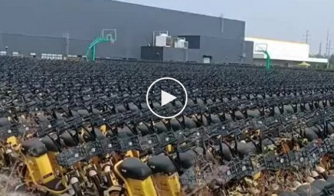 One of the many electric scooter cemeteries