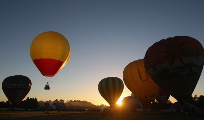 Воздушные шары над Вайкато (13 фото)