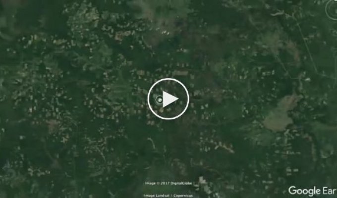 Вырубка леса в Сибири и ее масштабы