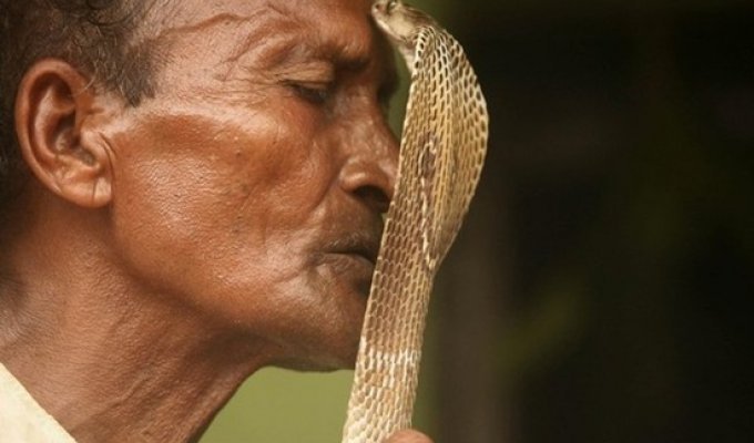  Заклинатели змей (43 Фото)