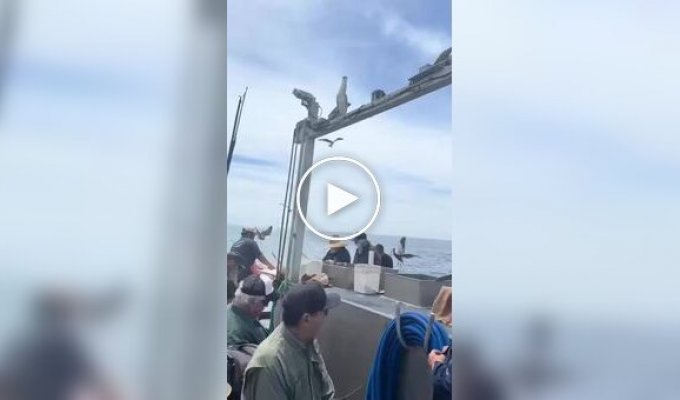 Fish got in the throat