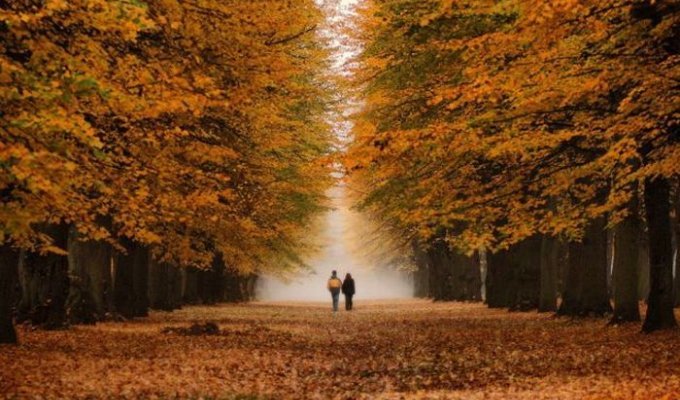 Красива осінь (44 фото)
