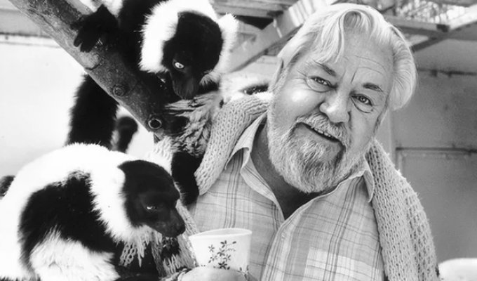 The Good Spirit of the Drunk Forest — 100 Years Since Gerald Durrell’s Birth (25 photos)