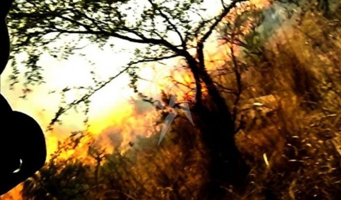 Камера мобильного телефона сняла гибель аргентинских пожарных (5 фото + видео) (жесть)