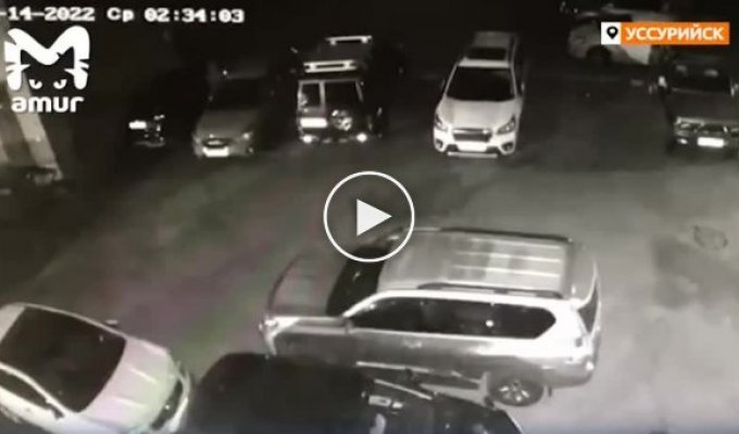 Злопамятный житель Уссурийска хотел отомстить недругу, но по ошибке сжег чужие авто