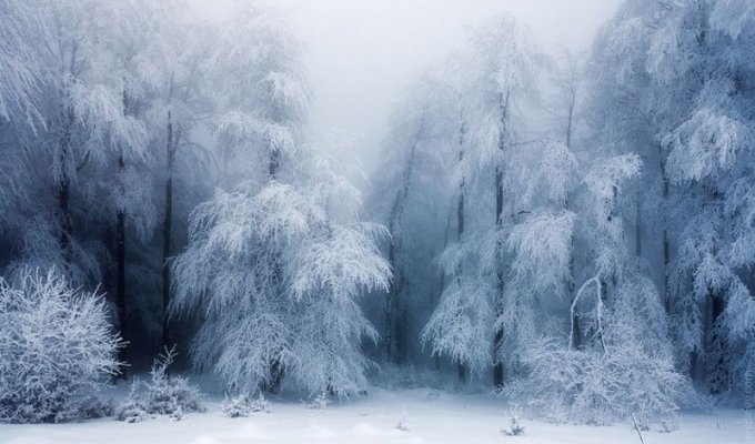 Восхитительные зимние пейзажи (20 фото)