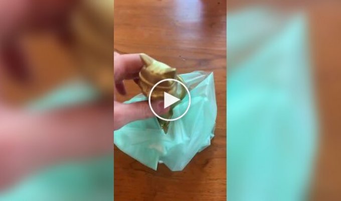 Пакеты из маниоки: биоразлагаемая альтернатива пластику