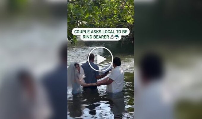 Dolphin Presents Rings to Newlyweds