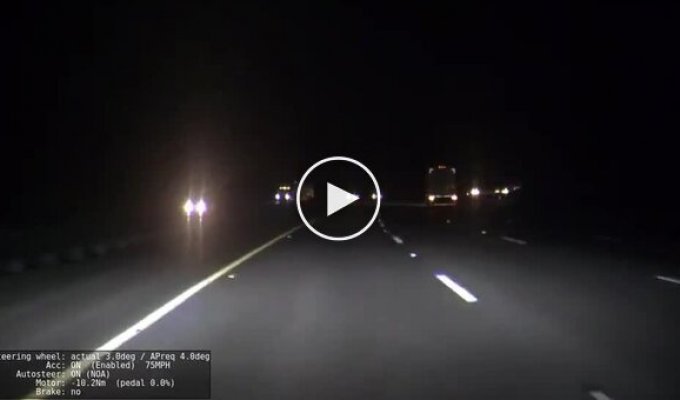 A Surprise on a Night Road in Autopilot Mode