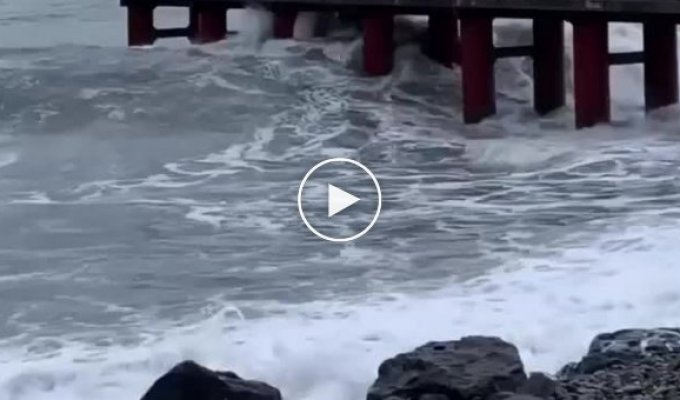 A woman with a stroller was almost washed out to sea by a storm wave in Sochi