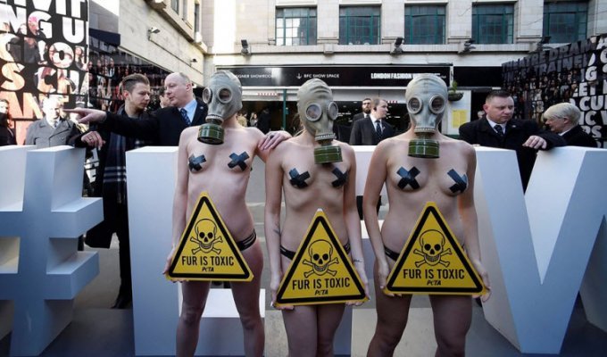 Полуобнаженный протест на London Fashion Week (8 фото)