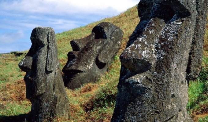 The mystery of Easter Island: who ate whom and who was guarded by the famous stone idols (7 photos)