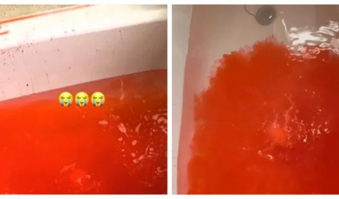 A bath bomb unpleasantly surprised a girl (2 photos + 1 video)