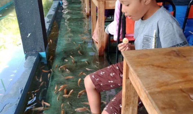 Ресторан-аквариум в Индонезии (6 фото)