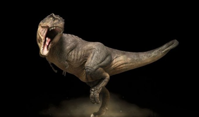 10 распространенных заблуждений о динозаврах (11 фото + 1 видео)