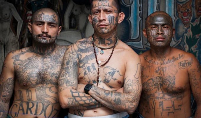 The Triads, FSU, and 6 Other Notorious Gangs That Started With Good Intentions (8 photos)