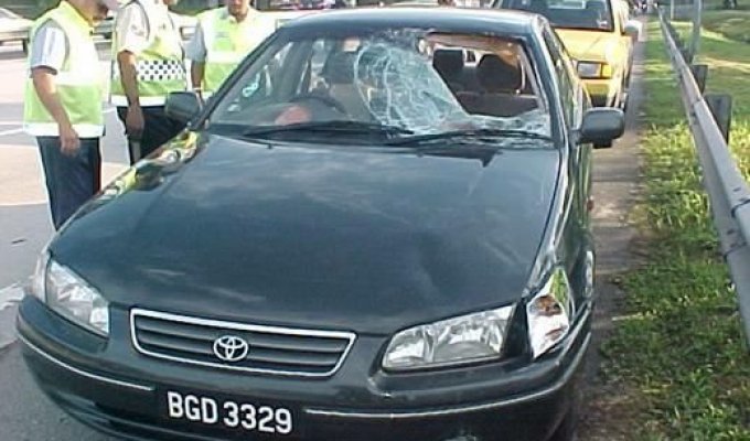 Авария в Малайзии с участием Тойоты (10 фото не для слабонервных)