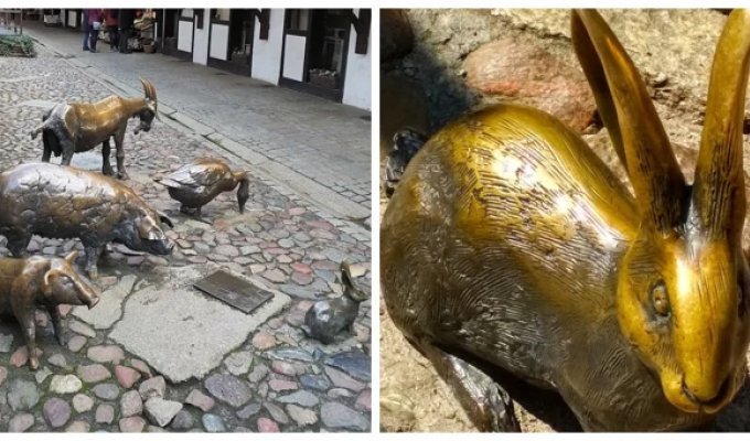 Monument in honor of the killed animals of Wroclaw (13 photos)