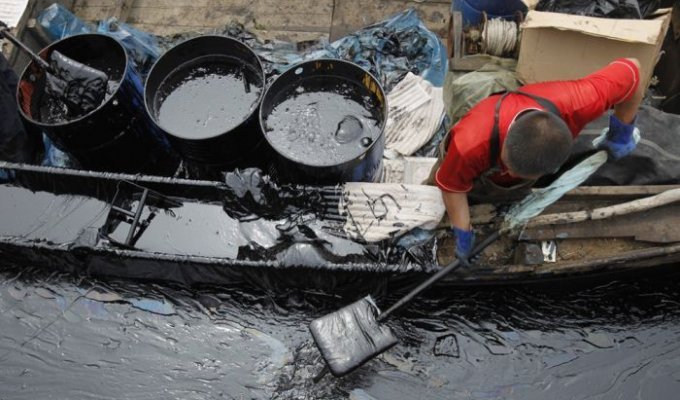 Очистка от нефти в китайском Далянь (38 фото)