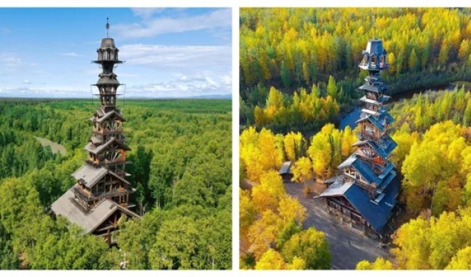 Избушка-небоскрёб в лесной глуши на Аляске (4 фото + 1 видео)