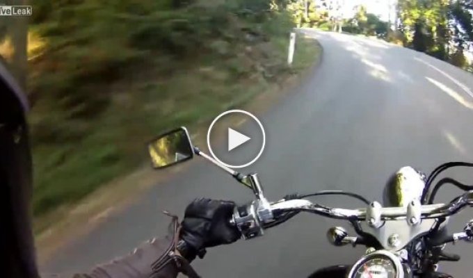 Мотоциклист ехал себе спокойно и  вдруг неожиданно. Австралия