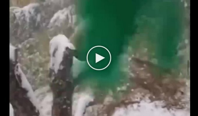 Неистовая радость панды первому снегу попала на видео