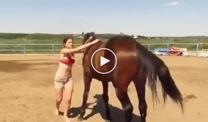 She saddled the horse. The horse decided to help the novice rider climb onto the horse
