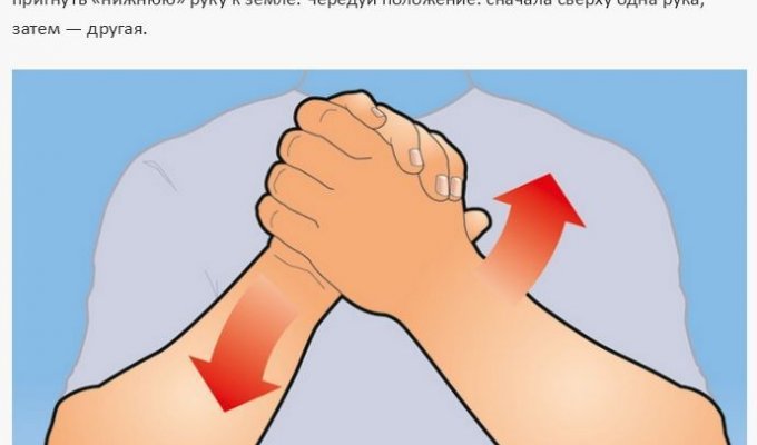 Тренируем мышцы рук по уникальной методике (12 фото)