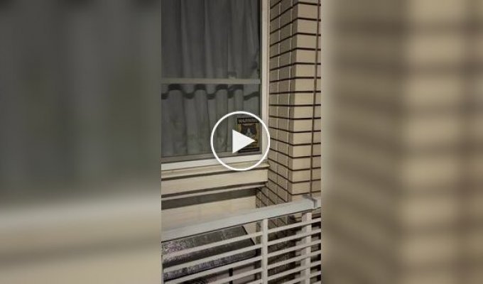 Лучшая система видеонаблюдения