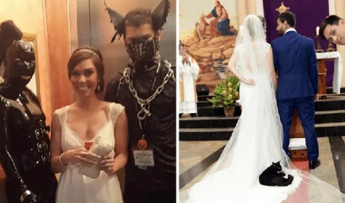 35 Funny Wedding Moments That Made the Celebration Even Better (35 photos)