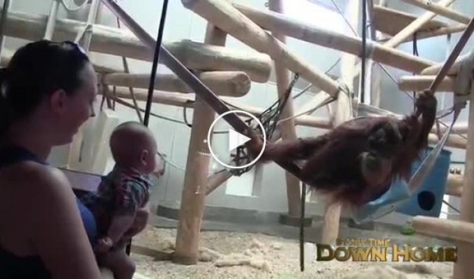 Милый орангутан пытается развлечь маленького ребенка