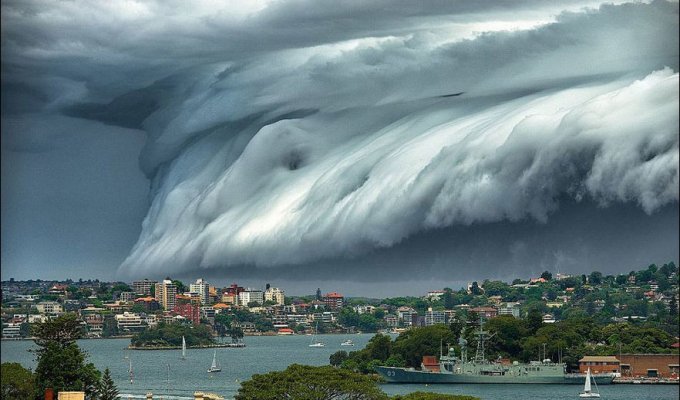 Облачное «цунами» прокатилось над Сиднеем. Невероятное зрелище! (7 фото)