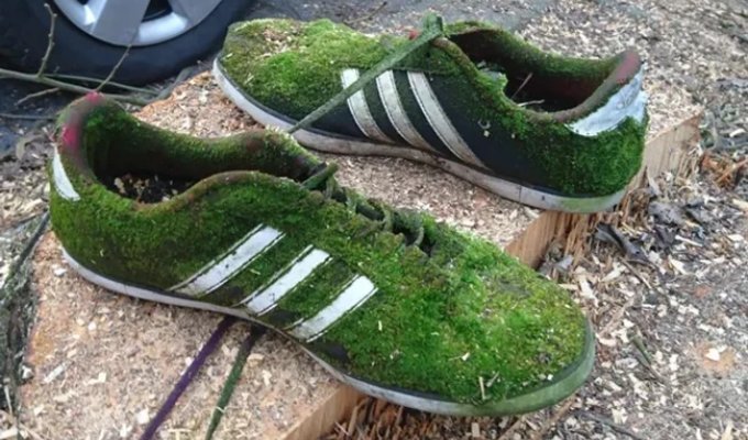 22 Photos That Prove Miracles Exist (22 photos)
