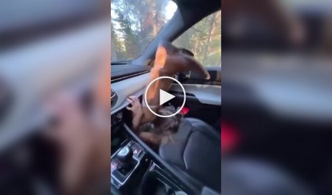 Парень наглядно показал, почему нельзя ставить ноги на панель в машине