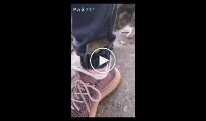Хитрый мышонок спасся от кошки, используя штаны пешехода