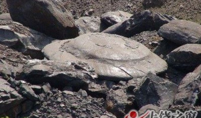 Камень в форме летающей тарелки (5 фото)