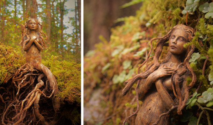 Великолепные скульптуры из плавучего леса рассказывают забытые истории океана (16 фото)