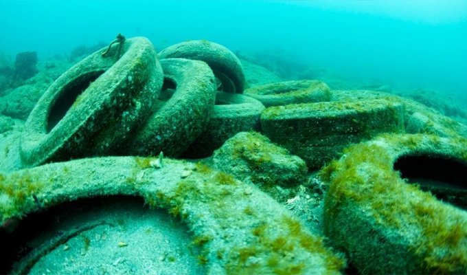 Toxic reefs. 2 million tires flooded in Florida, what happened to them 50 years later (6 photos)