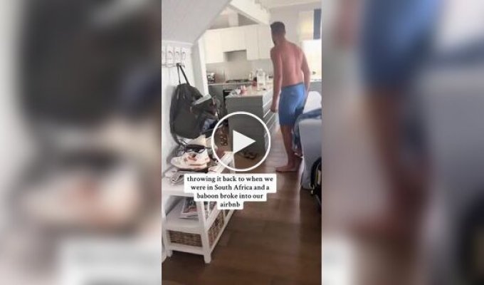 В Южной Африке бабуин пробрался в квартиру туристов и устроил фруктовый пир