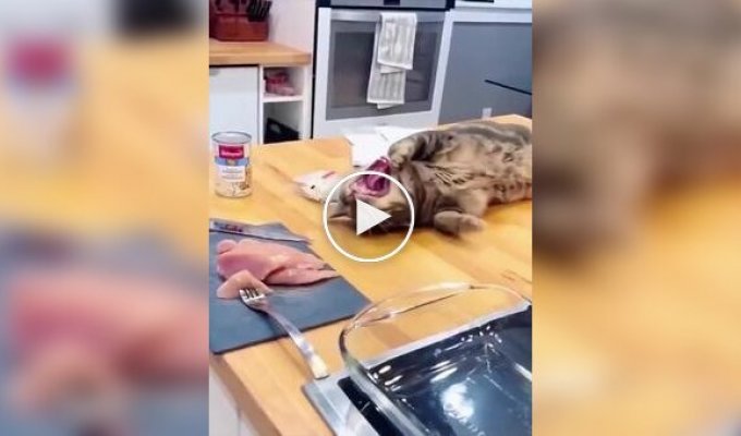 Хитрые пушистые воришки