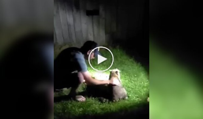 A man saved a raccoon that was choking on a tasty treat