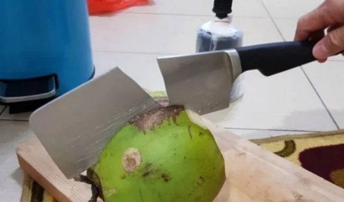 Mishaps happen (25 photos)