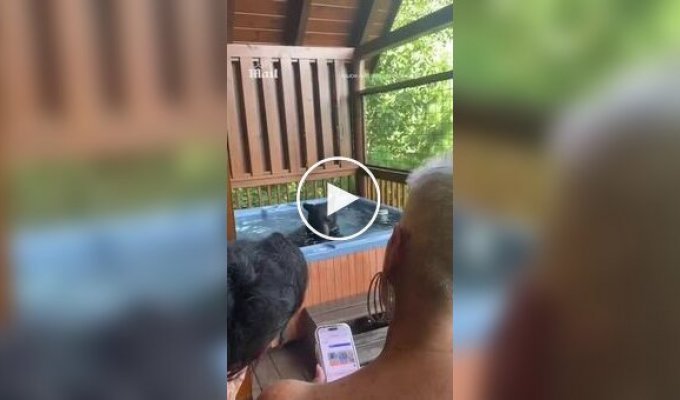 Любопытный медвежонок был пойман плескающимся в джакузи
