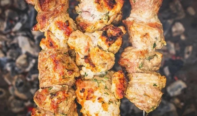 How not to do it: 5 gross mistakes in cooking shashlik (6 photos)