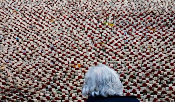 День памяти погибших на войне (37 фото)