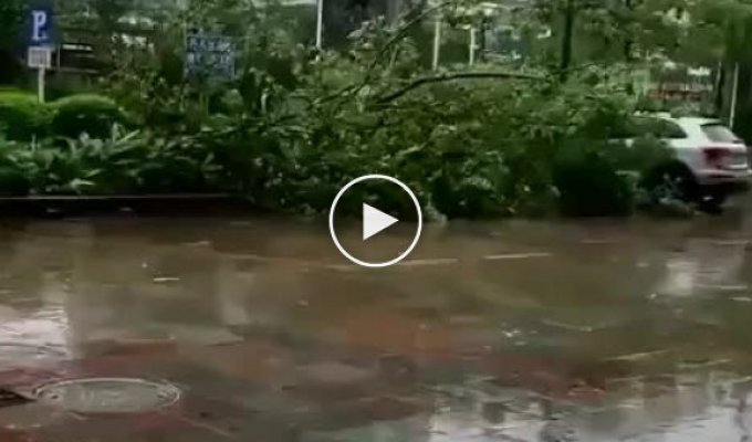 День домино во время урагана