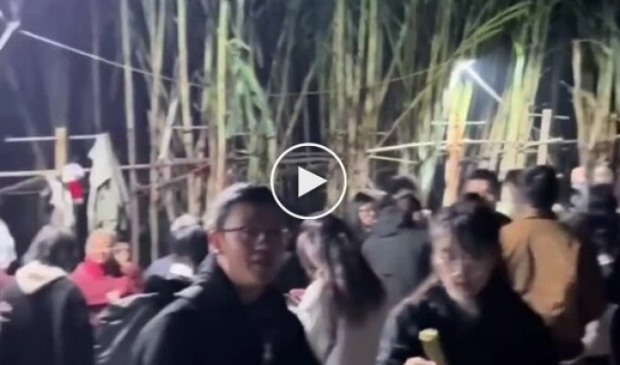 Укради тростник, если сможешь»: фермер превратил свое поле в игру